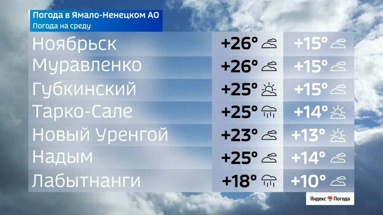 Лето наступает: на юге Ямала воздух прогреется до +26 градусов

В среду, 10 июня, в округе ожидается