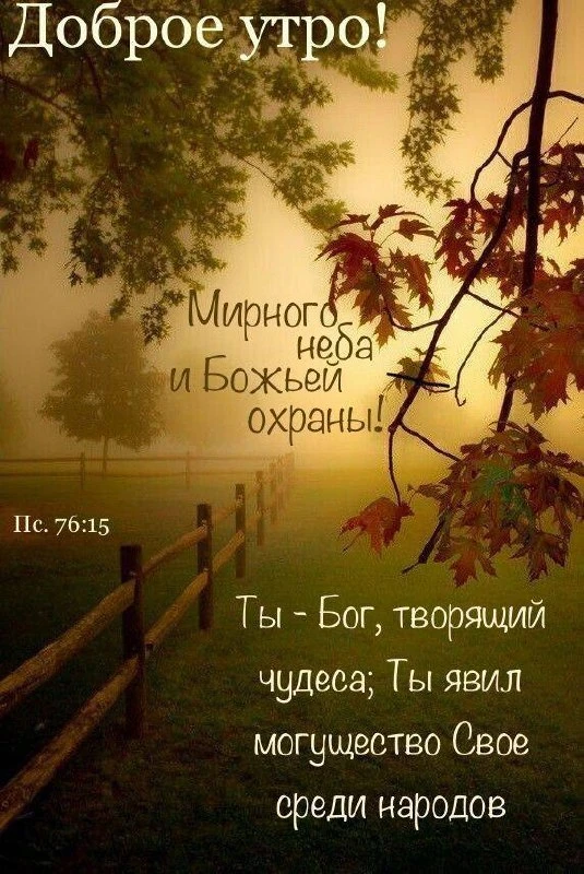 ❤️❤️❤️❤️Открытки❤️❤️❤️❤️
Теперь и в MAX