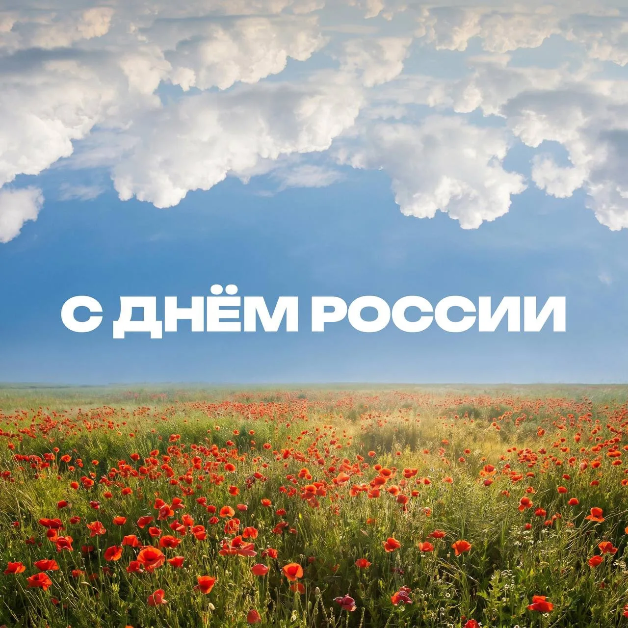 С Днём России! 🇷🇺

Сегодня праздник каждого из нас, и для бренда Индилайт это повод сказать «спаси