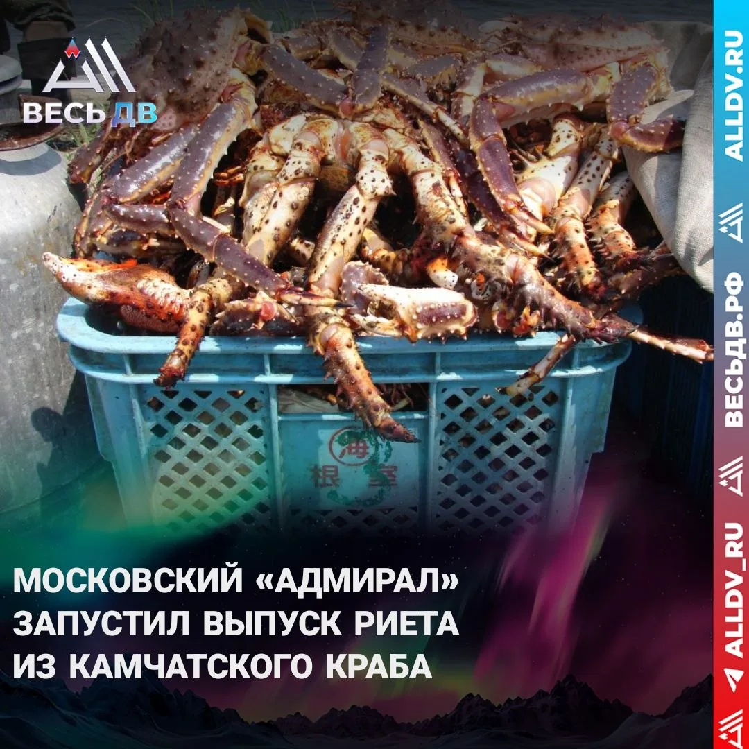 Крабовый паштет с Камчатки

На Камчатке начали делать риет из камчатского краба с долей мяса 60%. Пр