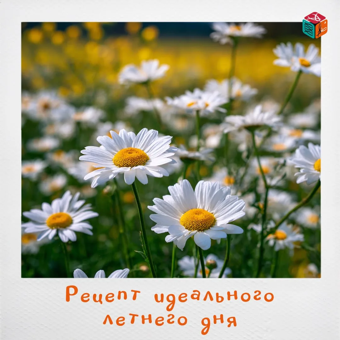 ☀️ Мы откладываем прогулки на выходные, встречи — на потом, а теплые летние вечера незаметно пролета