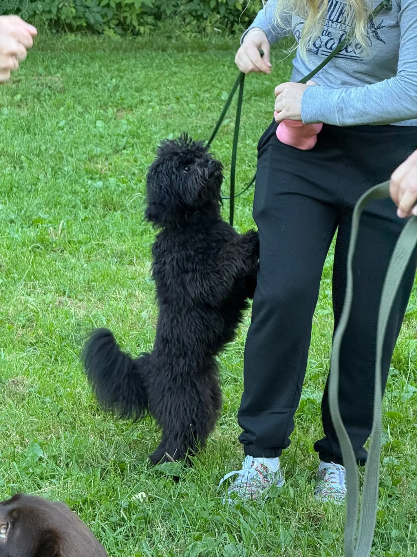 Коллективная прогулка хвостиков разных пород прошла вчера в Удельном парке 🐶

Друзья человека учили