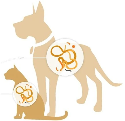 Дегельминтизация животных. Что это и зачем она нужна? 🐕🐈‍⬛

Дегельминтизация животных — это компле