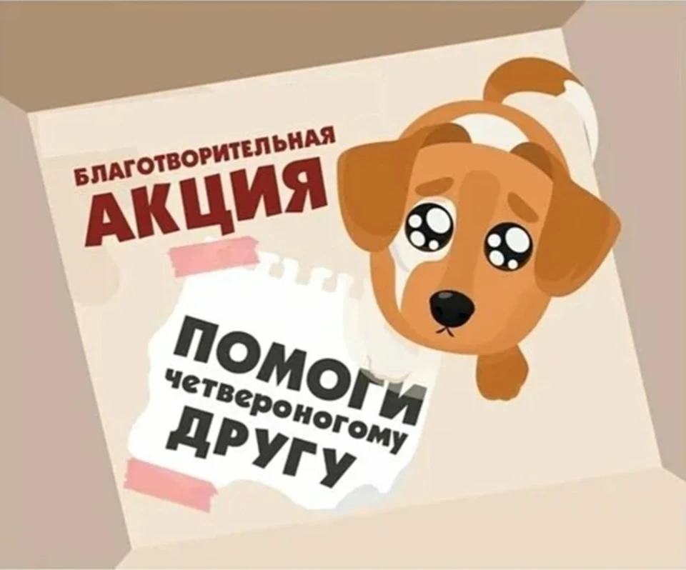Уважаемые родители наших дорогих воспитанников!🤗 
 Мы с Вами уже неоднократно помогали братьям наши