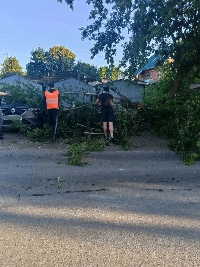 Ветер в Уфе повалил 12 деревьев 🌬🌳

Непогода, которая накрыла город 22 июня, добавила работы комму