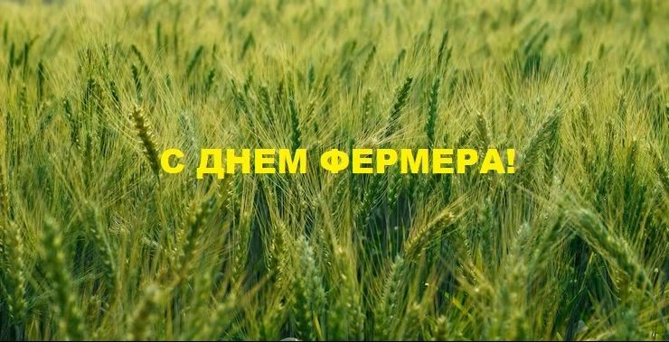 С Днем российского фермера! 

Дорогие коллеги! 

Команда СХТ поздравляет вас с Днем российского ферм