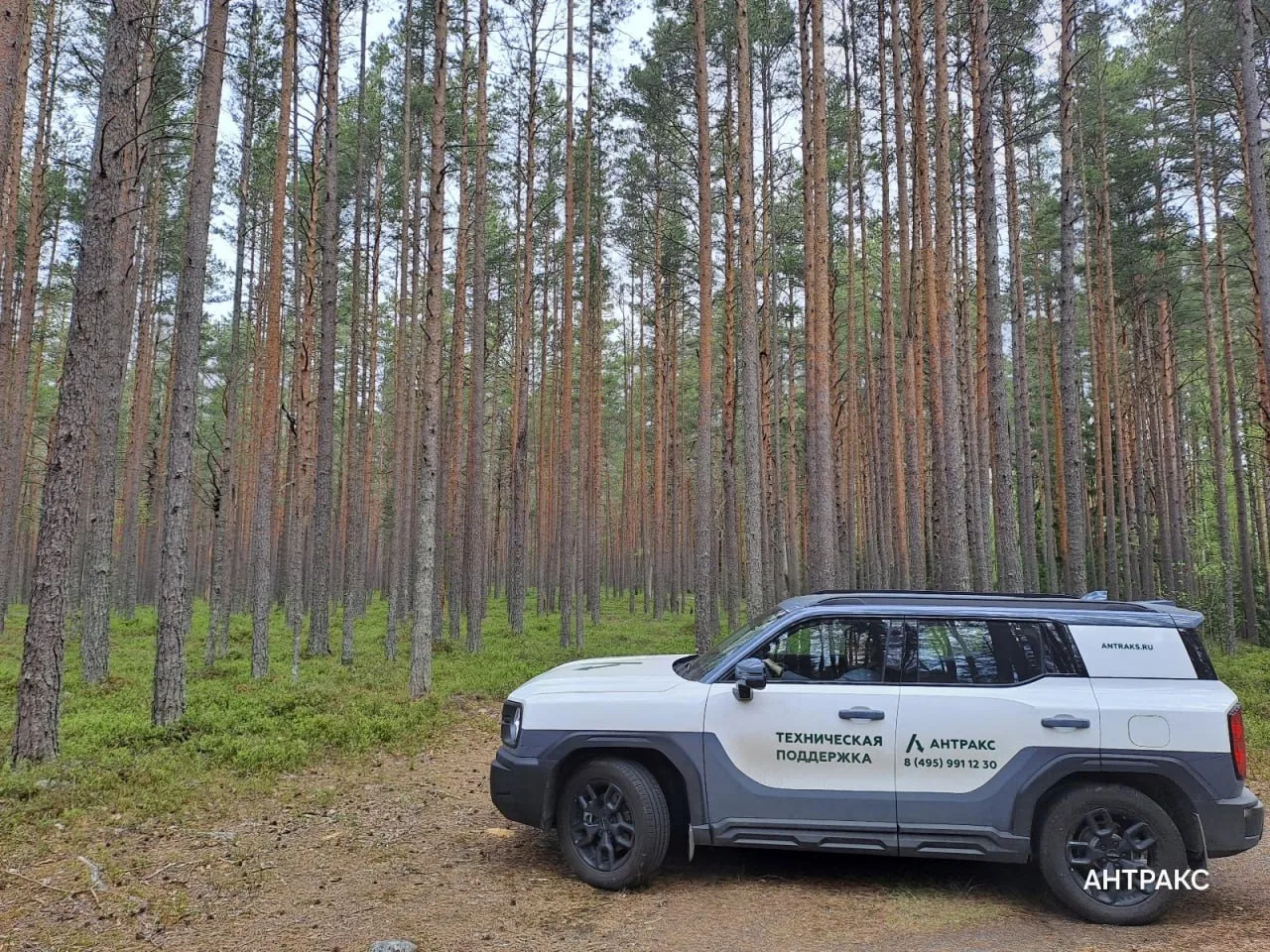 🌳 Вести из соснового бора

Благодаря новому представительству "АНТРАКСа" в Ленинградской области мы