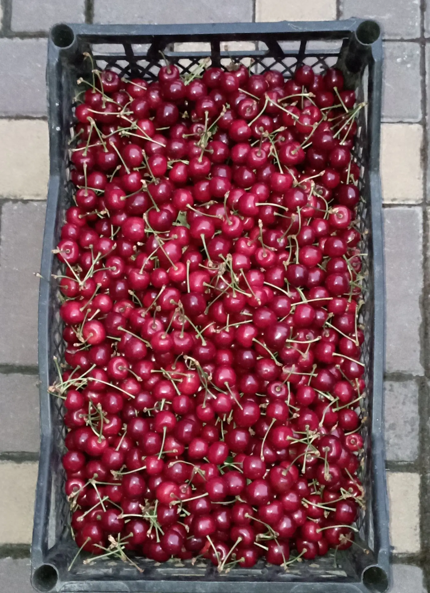 Продам черешню 75р/кг.с.Желябовка +79783406036