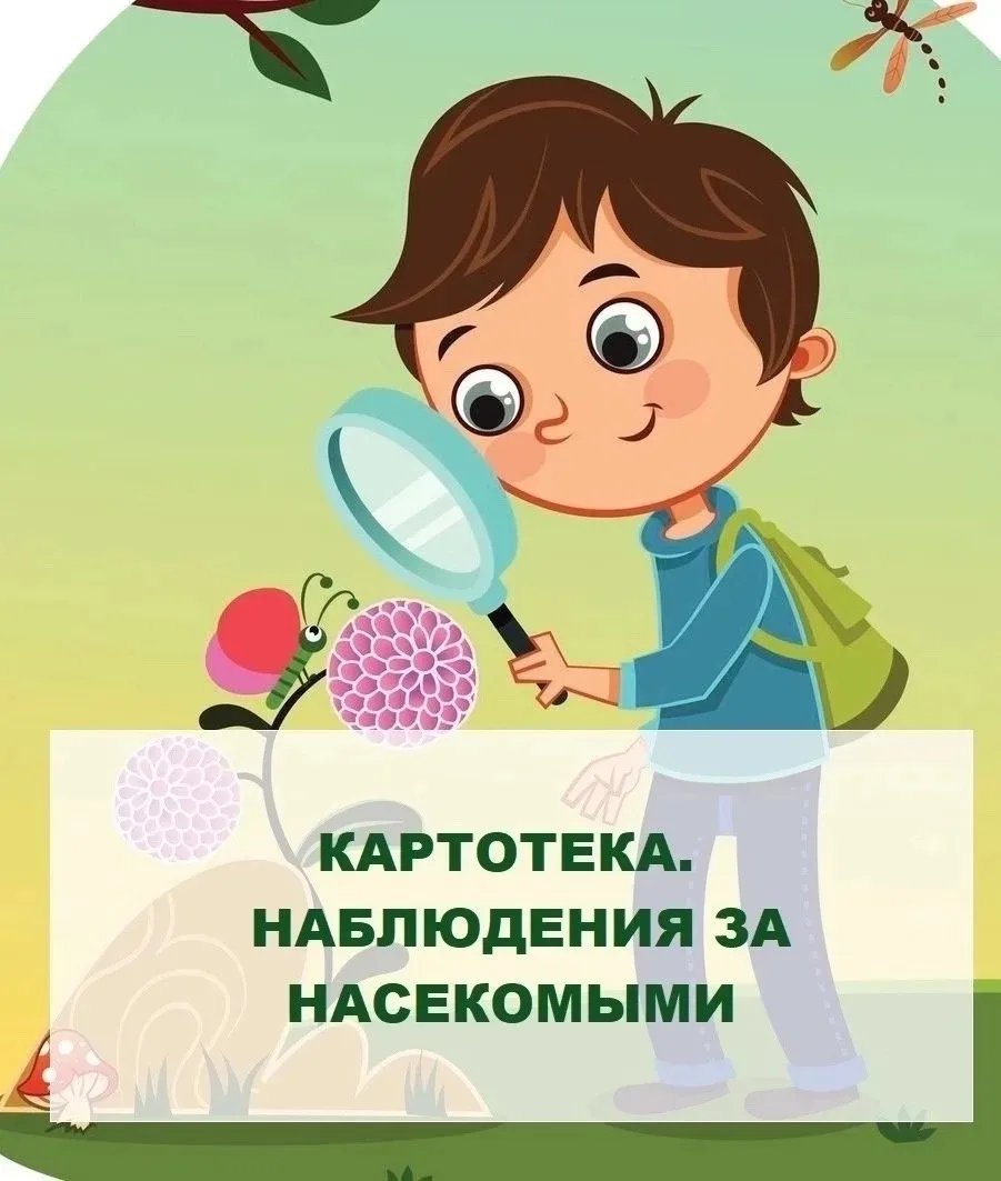 картотека НАБЛЮДЕНИЯ за НАСЕКОМЫМИ свободные источники сети интернет

Дошкольник: играем, развиваемс