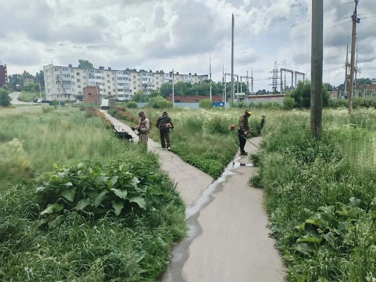 🌱 В Лежневском городском поселении продолжаются работы по окосу травы на общественных территориях.
