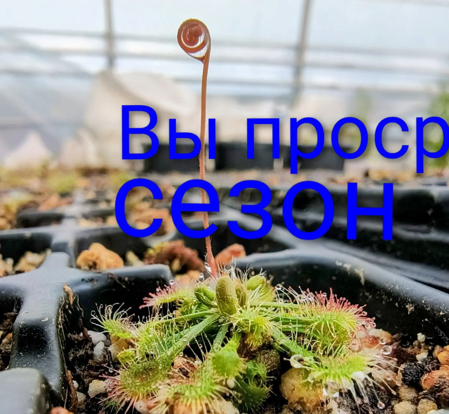 Кто хотел открыть свою лабу, это для вас. Вы уже упустили этот сезон.

Вы думаете, "успеется"? Вы пр