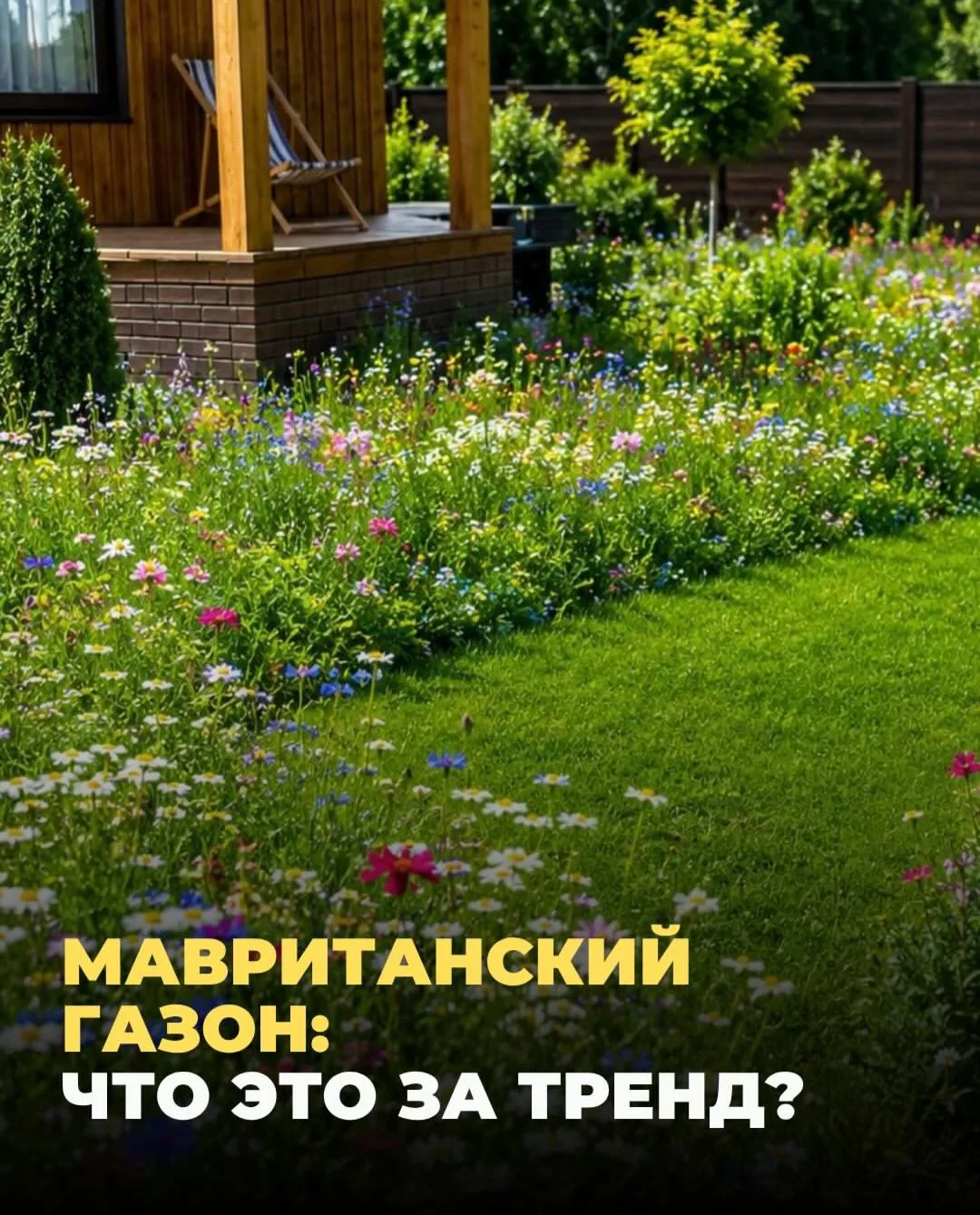 🌿Не косите мавританский газон, пока не узнаете эти 3 жестких правила

Цветущий мавританский луг тре