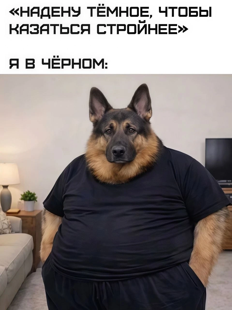 Наш телеграм: https://t.me/votetoprikol90