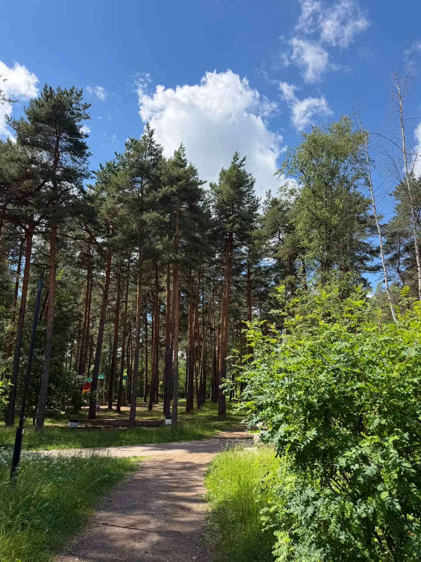 Как хорошо, без дождя ☀️