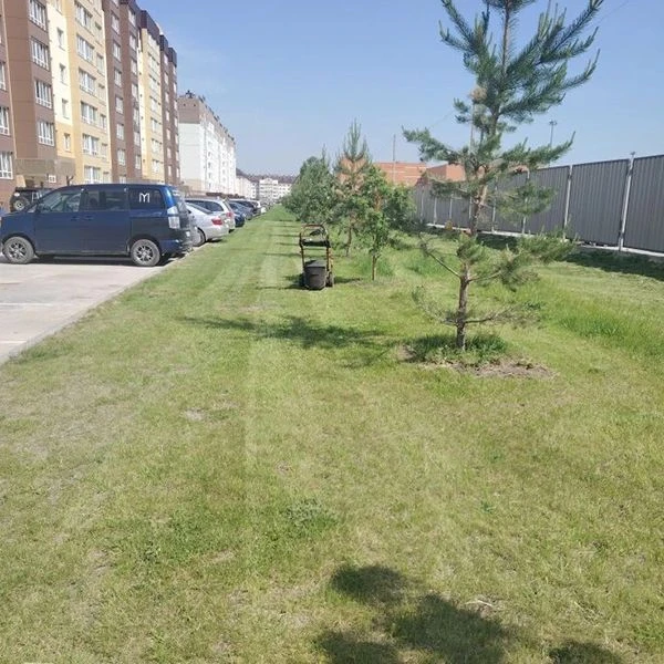 ✅Дайджест за неделю 8 – 14 июня. (Элитный)
Знакомим вас с примерами текущей работы сотрудников Управ