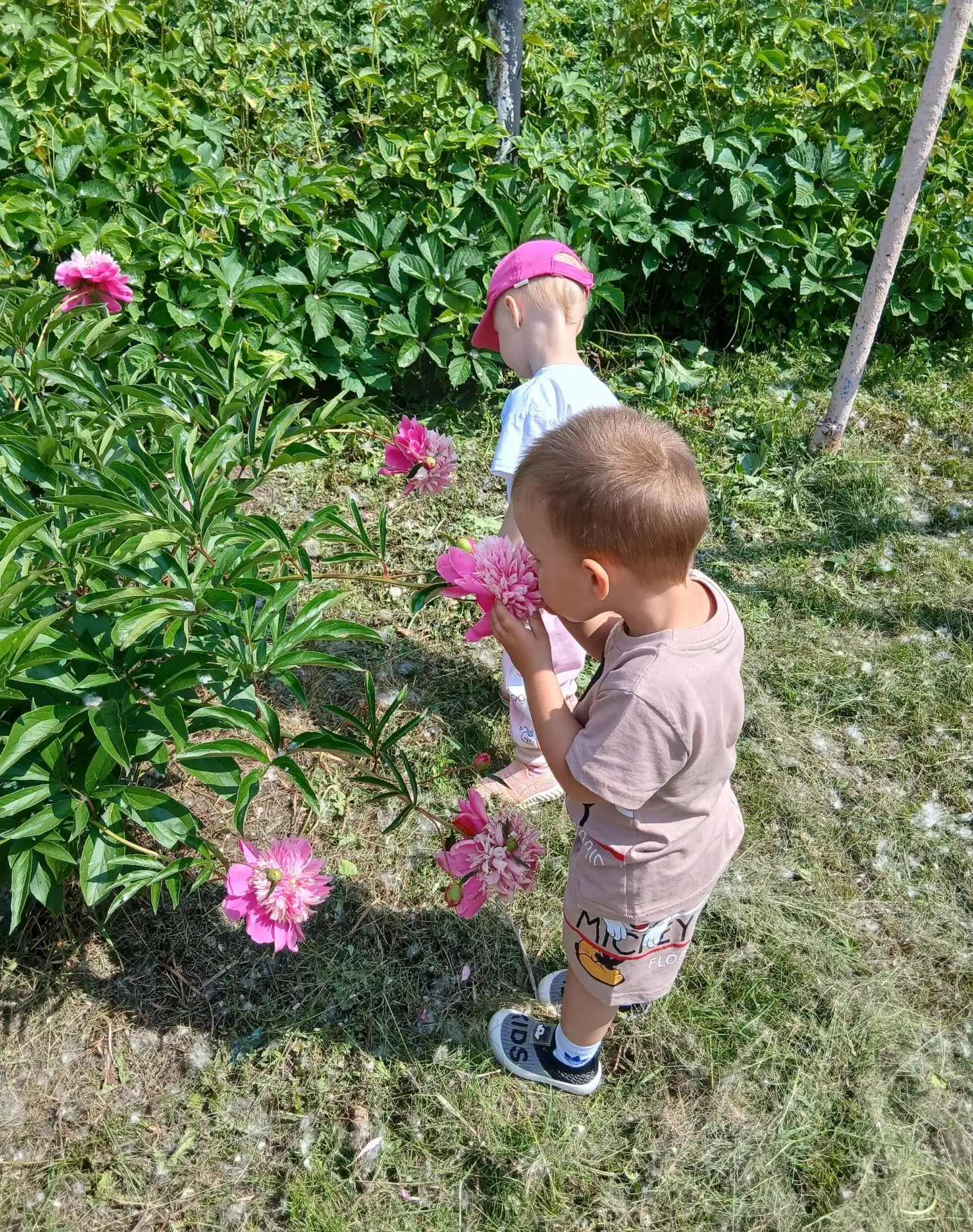 🌸 Цветочное приключение наших дошколят! 🐝

🌺 Наши маленькие исследователи сегодня устроили настоя