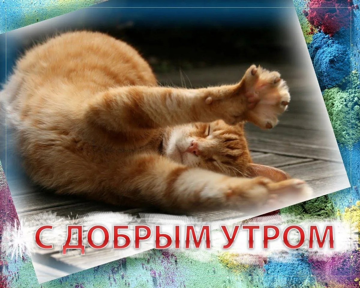 Андреева Любовь Николаевна
Бушуева Татьяна Владимировна 
Кузькина Ирина Владимировна
Молибога Наталь