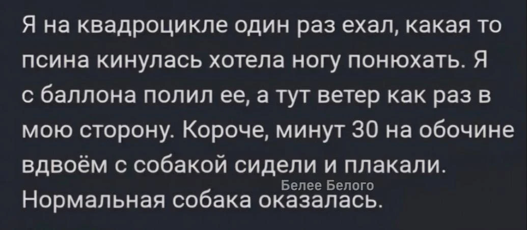20 лет вместе, трое щенят 😂

🐈‍⬛ Белее Белого