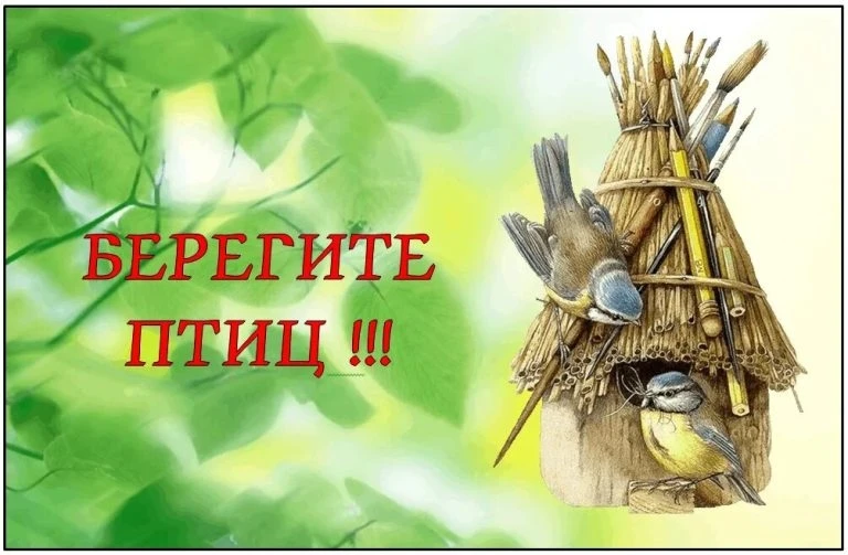 1 апреля 2026 года во многих странах мира отмечают Международный день птиц — экологический праздник,