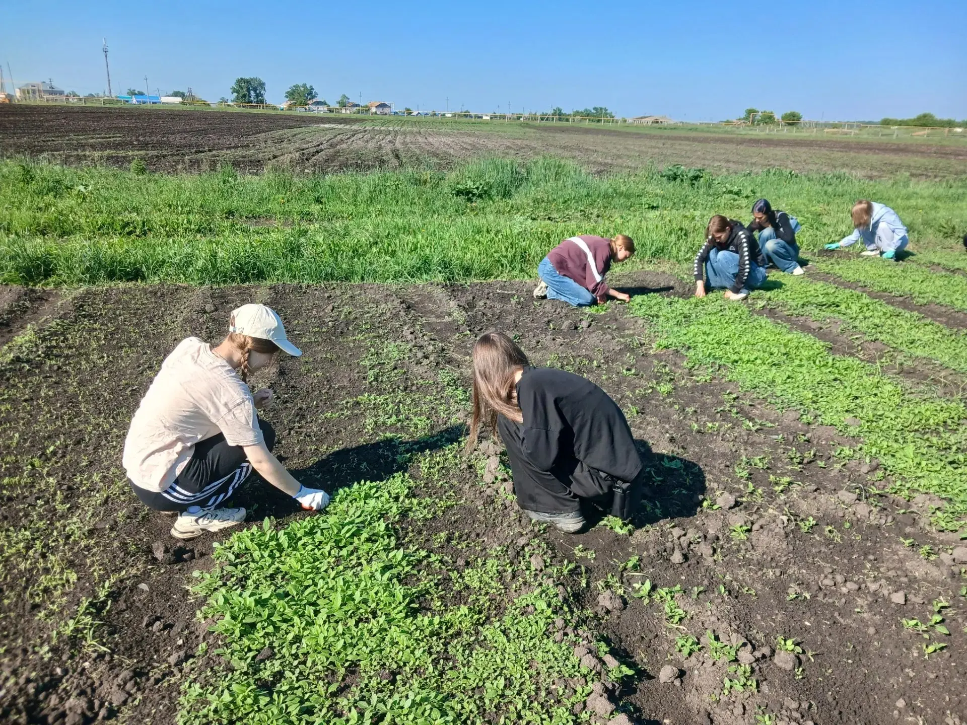 Продолжаем работу на школьном огороде! 🌿

Ребята, не сбавляем темп! Наш школьный огород снова в дел