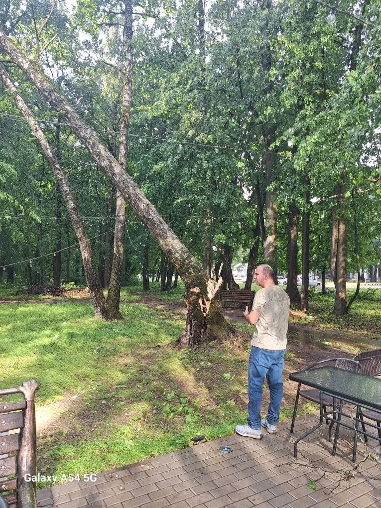 ❗️Деревья вновь повалились по всему городу

Как же так получилось? После прошлых порывов ветра админ