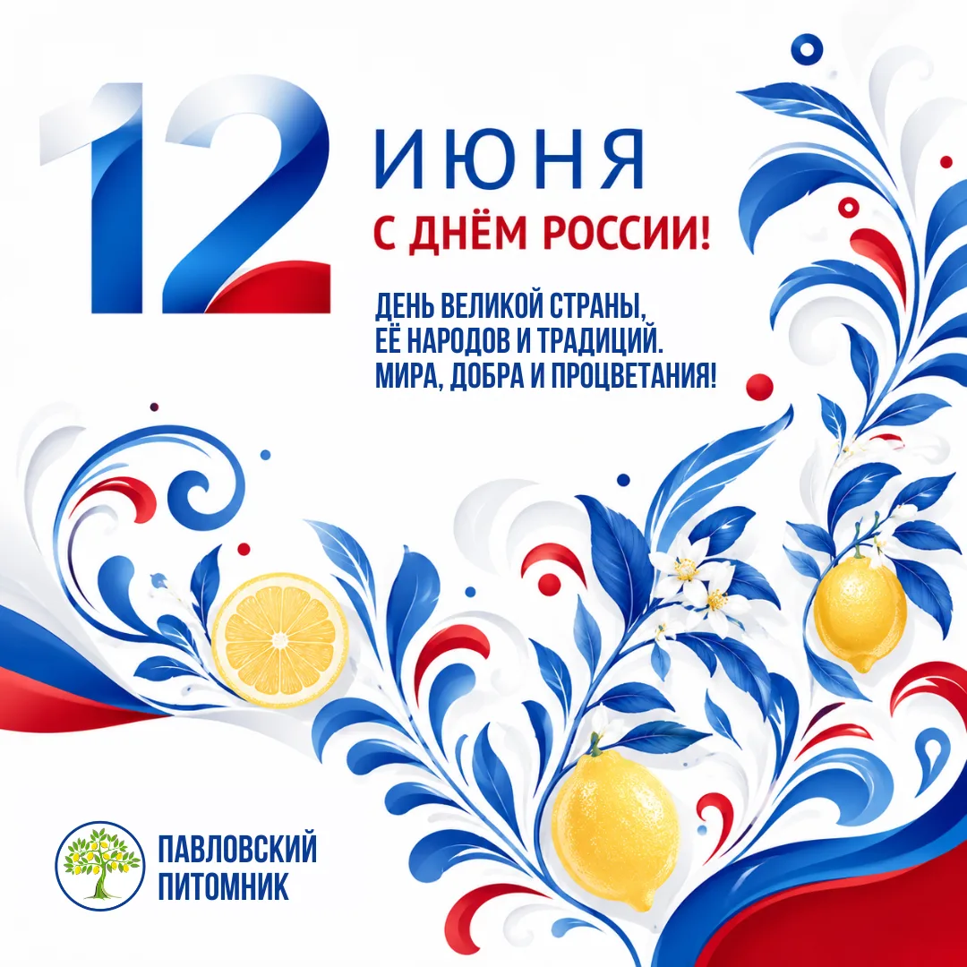 С праздником, дорогие подписчики! 🇷🇺