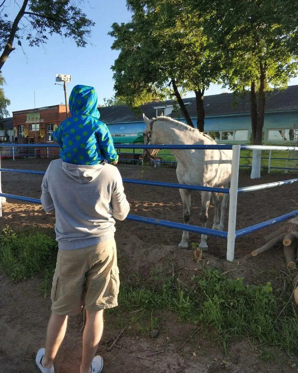 🐎 Отправляемся в Раменский ипподром — смотреть зрелищные конные скачки!

Если вы давно мечтали увид