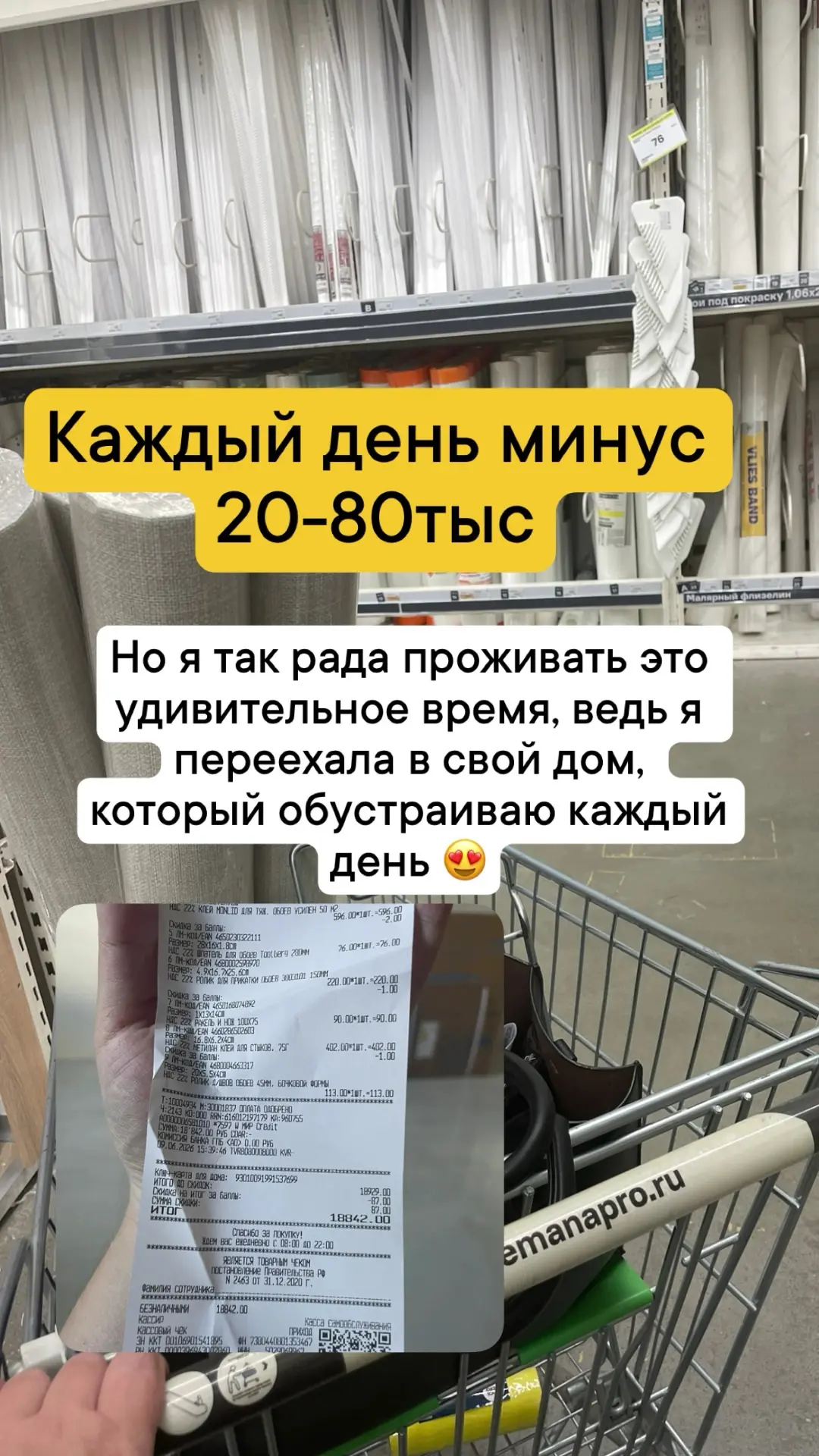 Вот честно, я поехала за цветами … хотела на улице в горшки посадить петунию . 

А купила обои , рул
