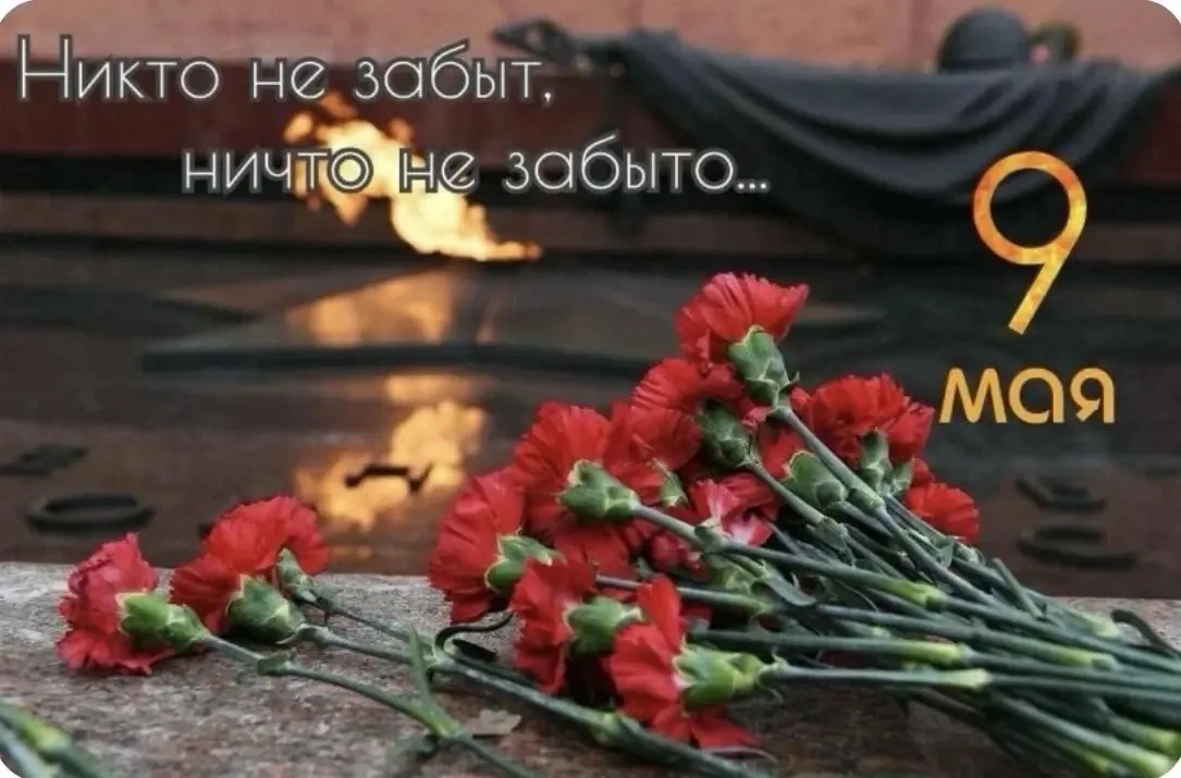 С Днём Великой Победы! 🕊️

Сегодня мы с особым трепетом и гордостью вспоминаем подвиг наших предков