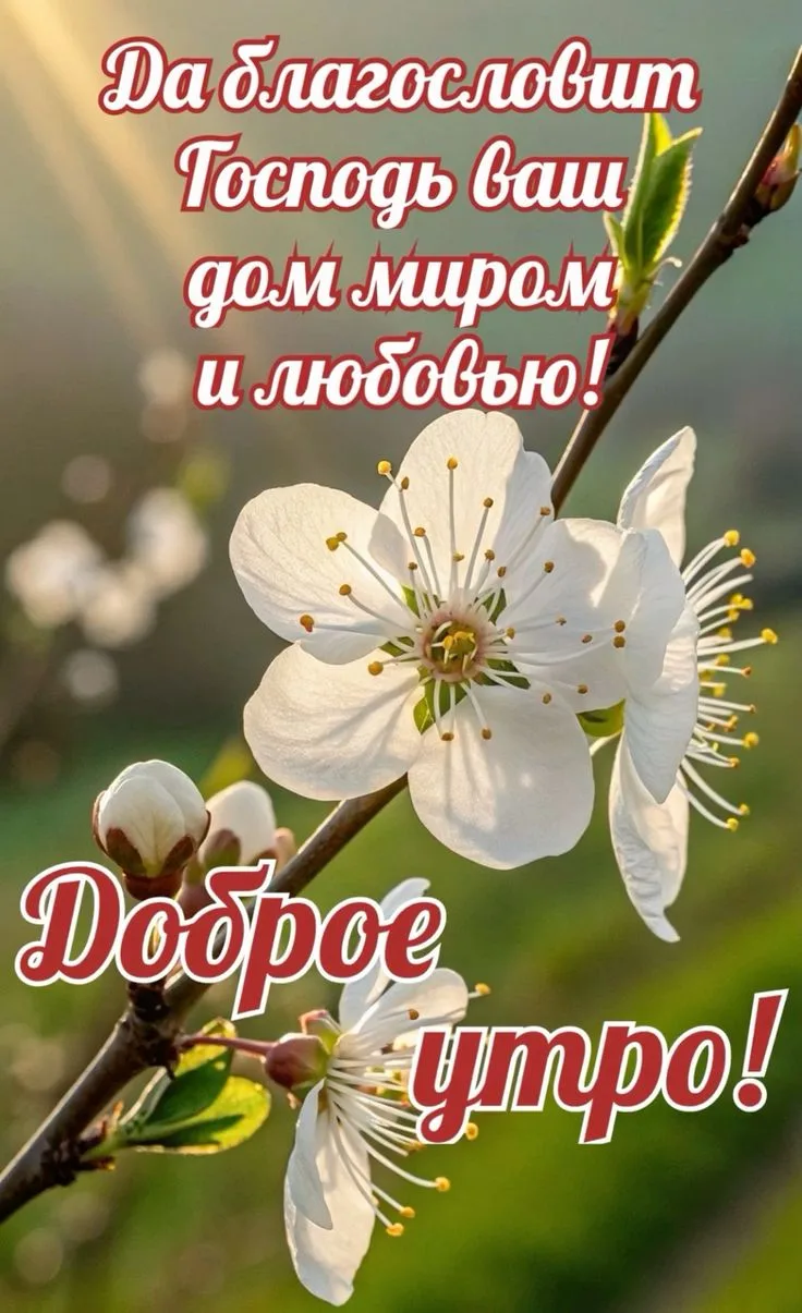 Всем доброго субботнего дня😇