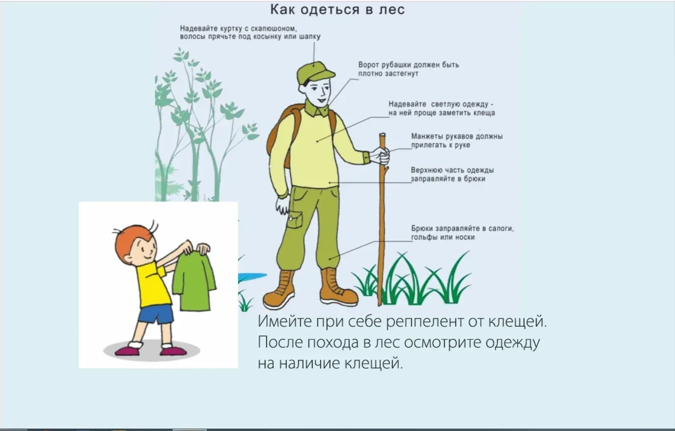 🧥Одевайтесь в лес правильно — защитите себя от клещей! 🕷 
 
🔹 Длинные рукава + штаны 
🔹 Штаны за