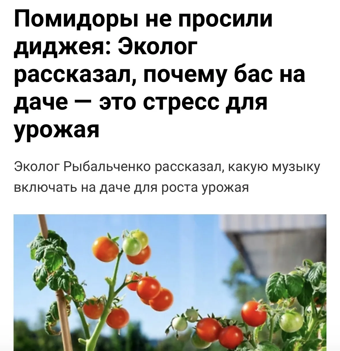 И к важным летним новостям

——-
@ www.x.com/apollodjru (Twitter)