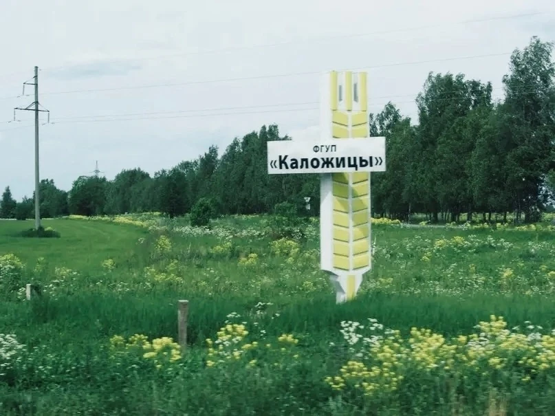 На предприятии ООО «Племенной завод «Каложицы» подведены итоги реализации пилотного проекта в рамках