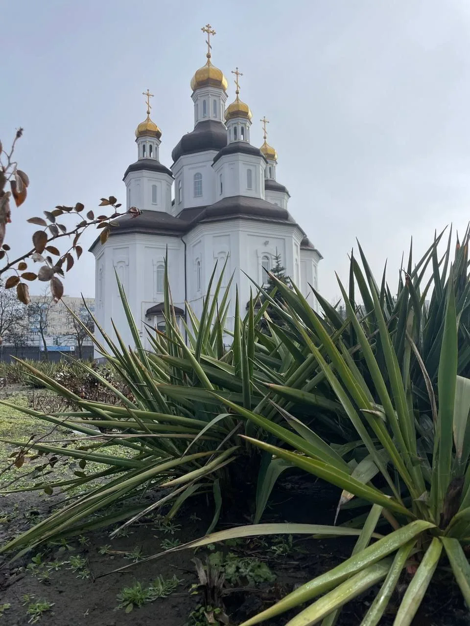 Доброе утро!❤️