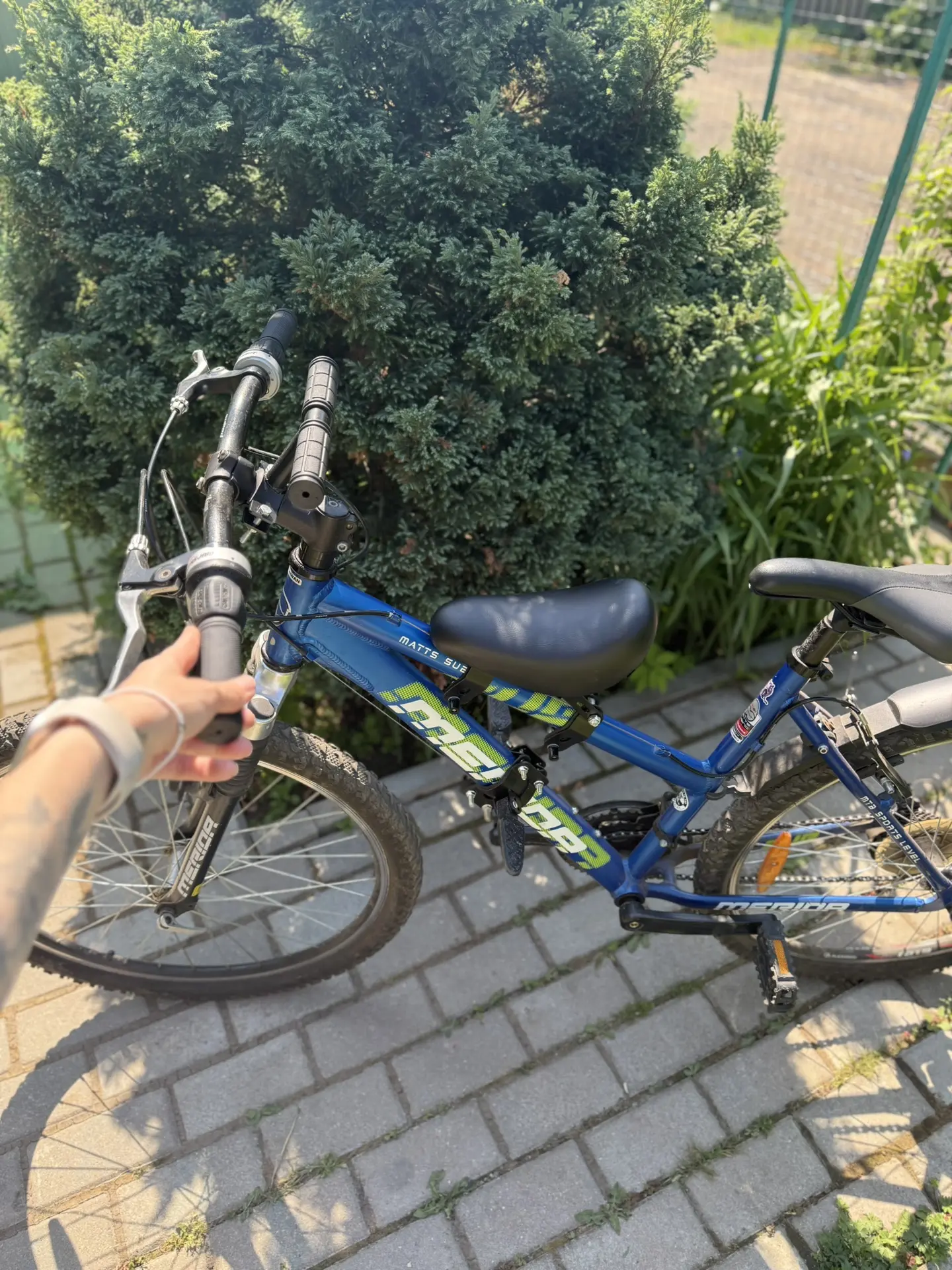 Почему я прошлым летом 
это не сделала 😅

Еще тогда мне активно попадались видео, как мамы и папы к
