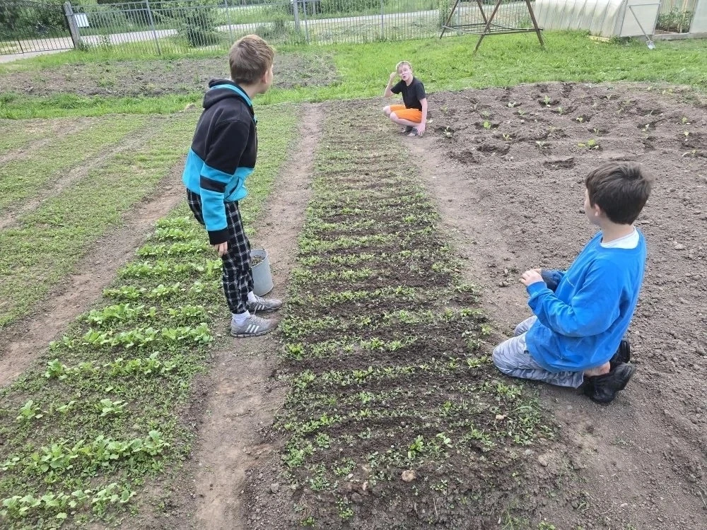 Продолжаем трудиться на нашем огороде🌿🌱, уничтожаем сорняки. Дело идет трудно, так армия комаров р