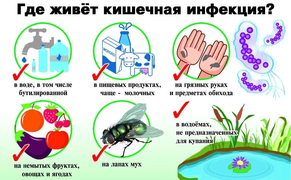 🦠🚫 Профилактика вирусных и кишечных инфекций
👋Уважаемые родители! В целях сохранения и укрепления