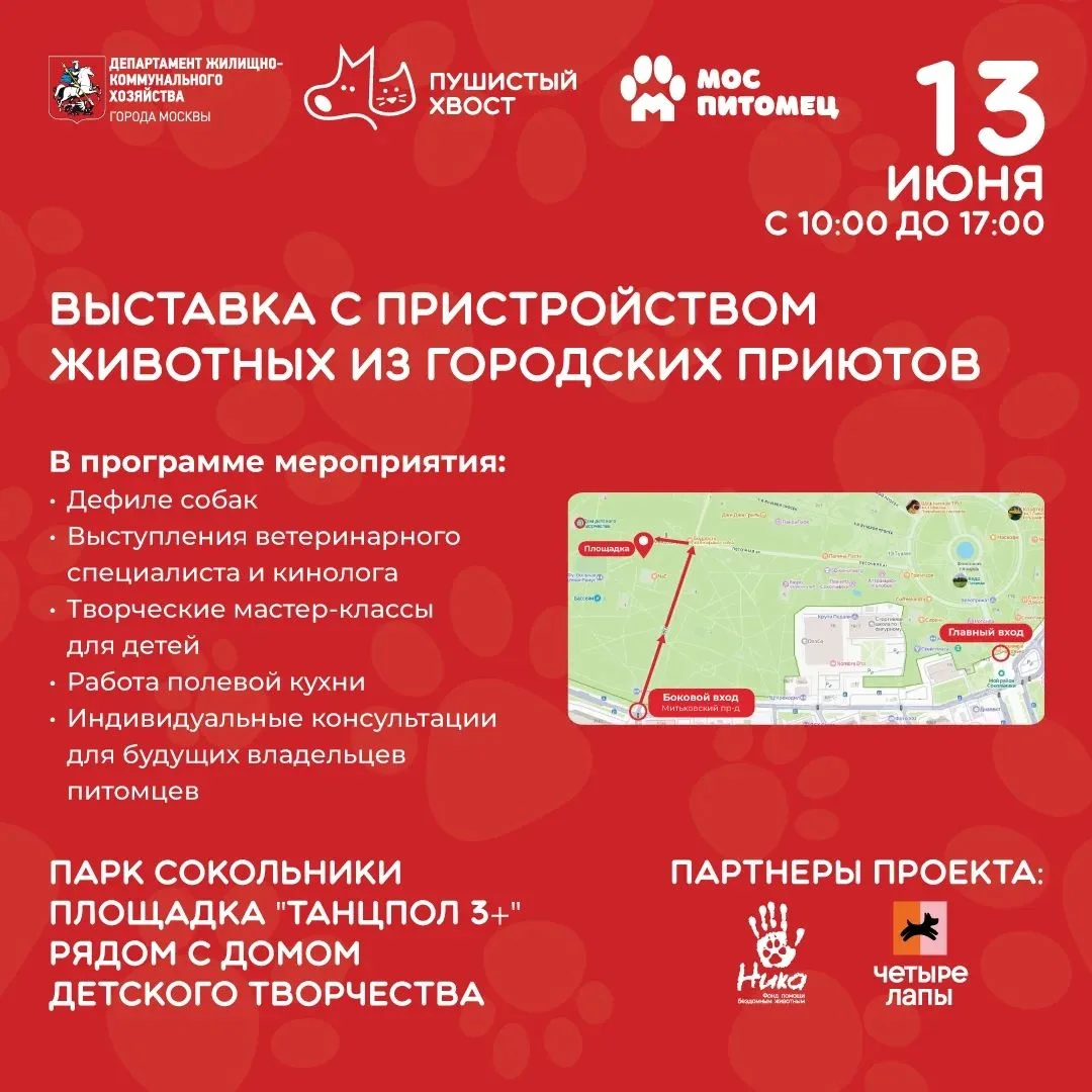 «Пушистый хвост» улизнул в Сокольники!
 
13 июня в парке «Сокольники» пройдет выставка с пристройств