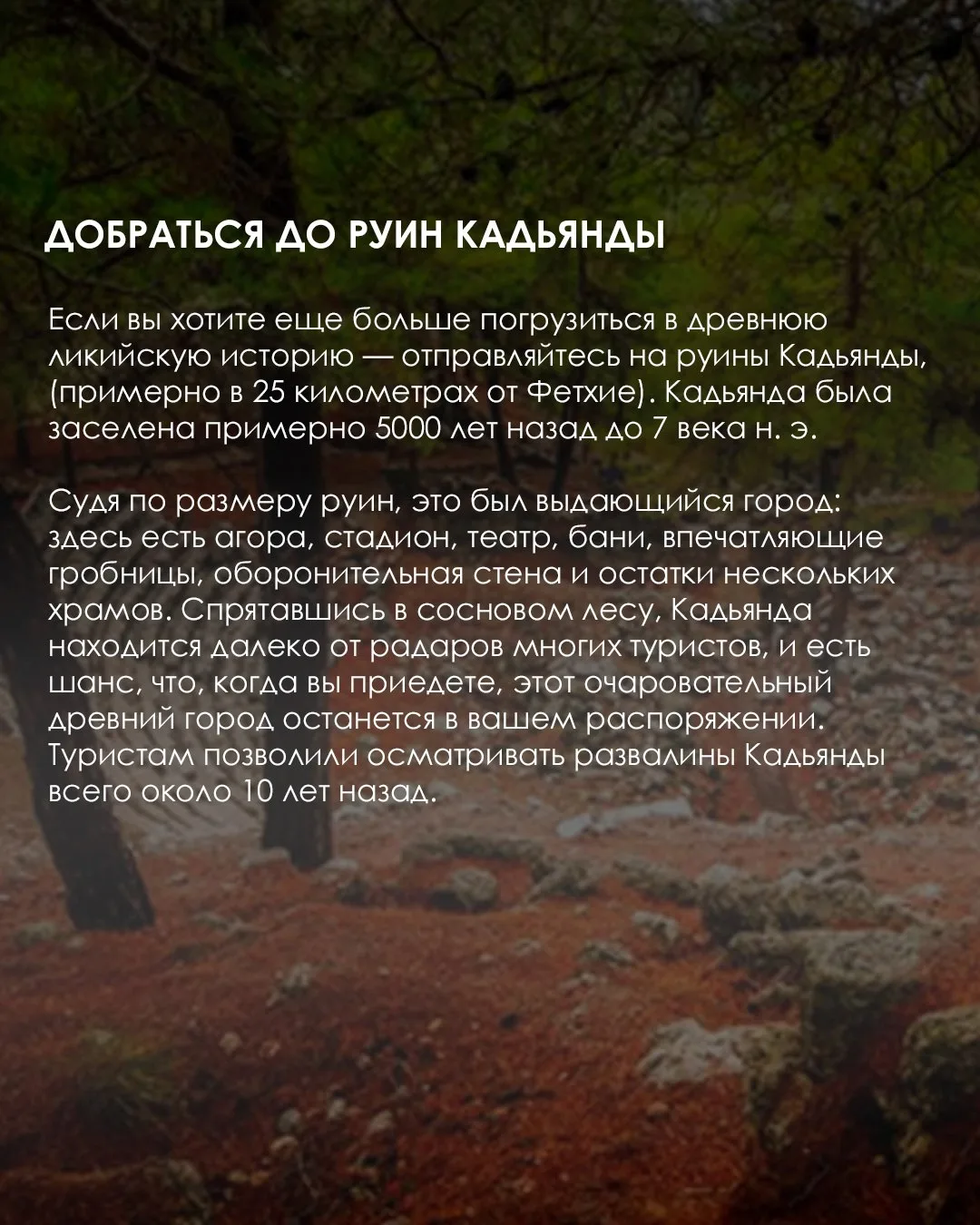🇹🇷 Фетхие — один из самых спокойных курортов Турции. Находится у подножия живописных гор, поросших