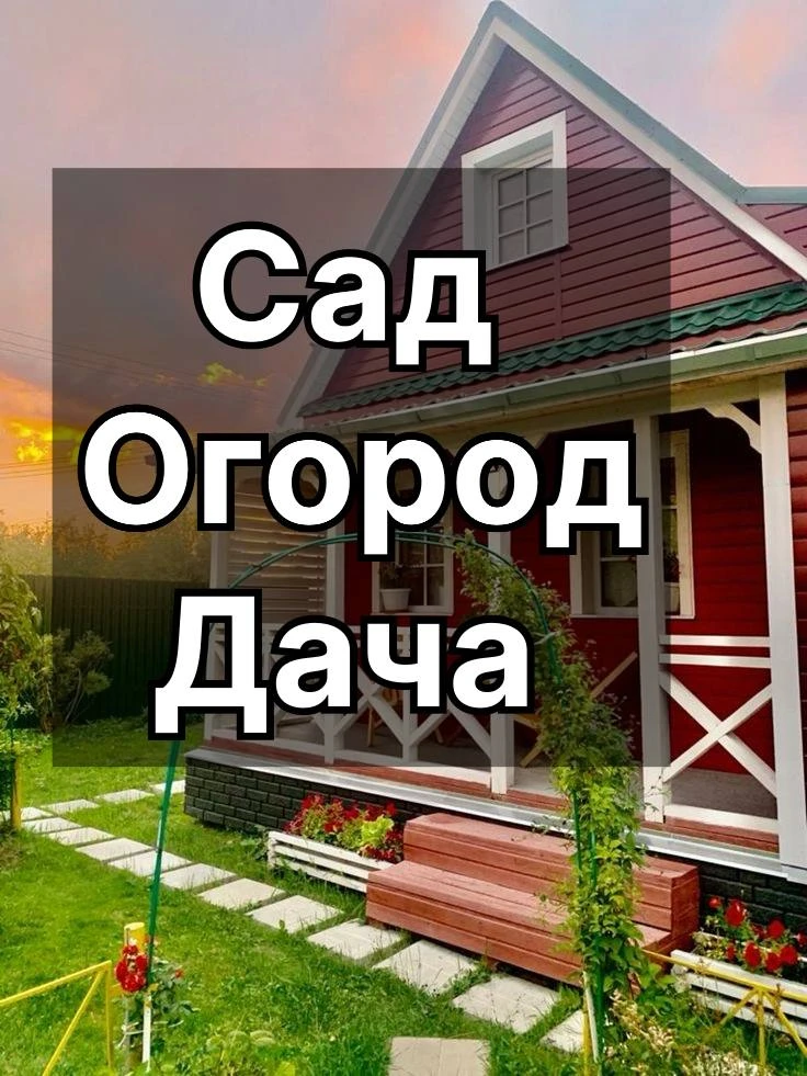 Огородные секреты : Подборка каналов

🏡 Секреты кухни  
Простые и быстрые рецепты, кулинарные хитро