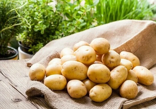 КАК ОБНОВИТЬ СОРТ КАРТОФЕЛЯ: 5 СПОСОБОВ

Существует пять проверенных способов, каждый из которых вы 