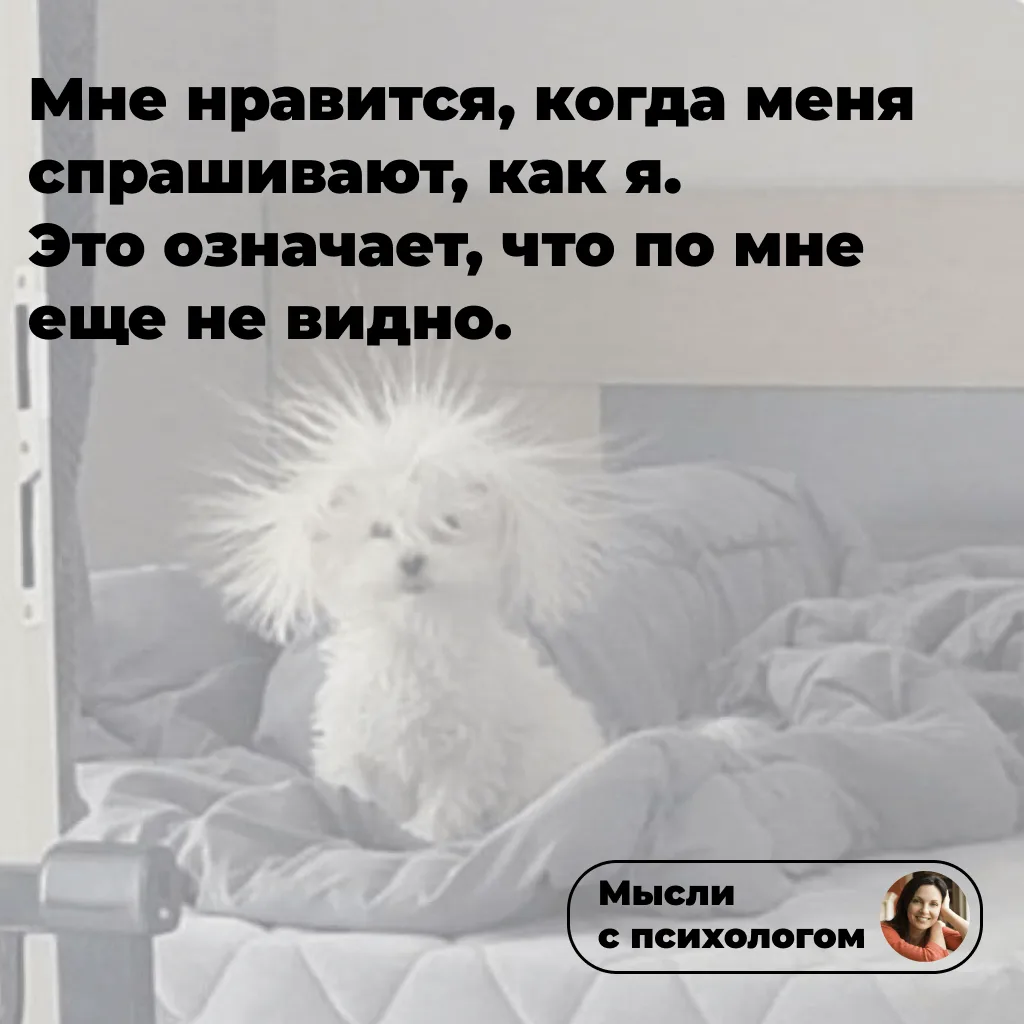 🤣

👉 ссылка на мой блог