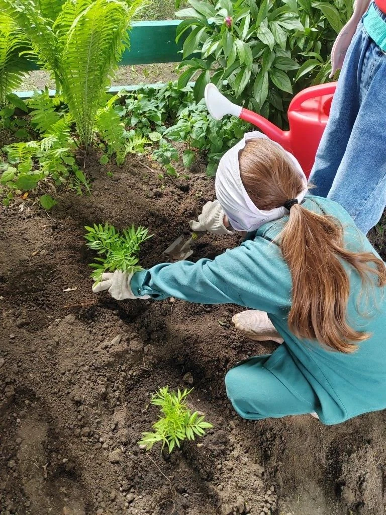 🌱 Экология — дело каждого! 🌱Наши маленькие экологи потрудились на славу: бережно сажали цветы и за