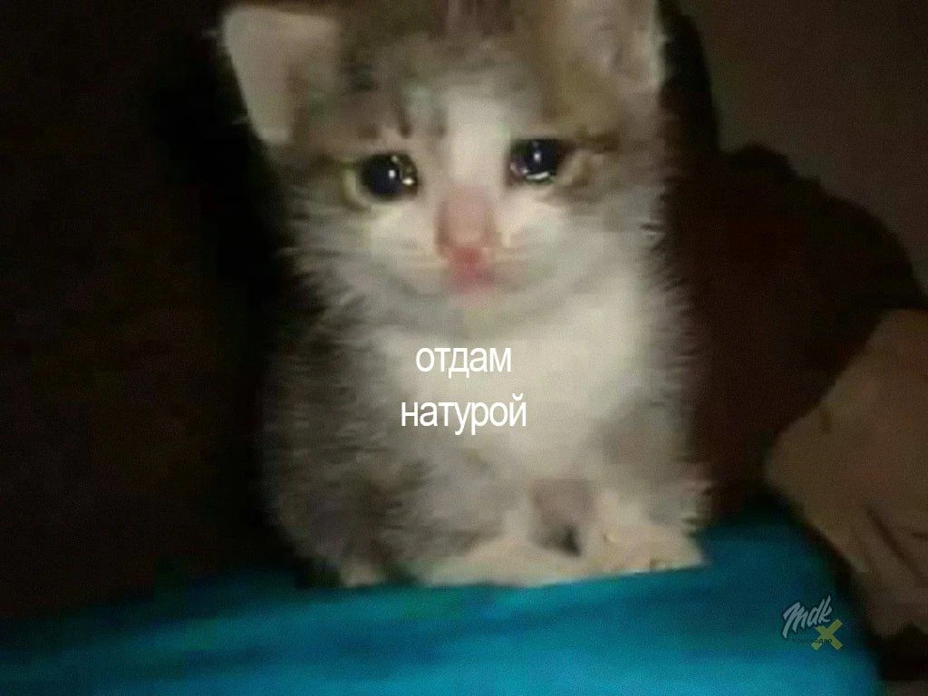 16 лярдов долгов

Жители Краснодарского края задолжали по ипотеке 16 миллиардов рублей — регион вошё