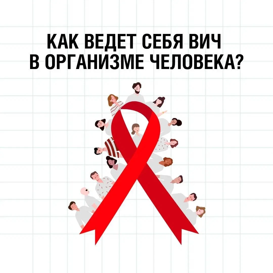 Что такое ВИЧ? Как ведет себя ВИЧ в организме человека? 

Информация в посте!