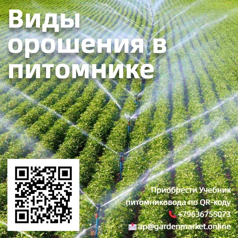 💦Виды орошения в питомнике

Организация полива в питомнике - сложный и многоступенчатый процесс. Од