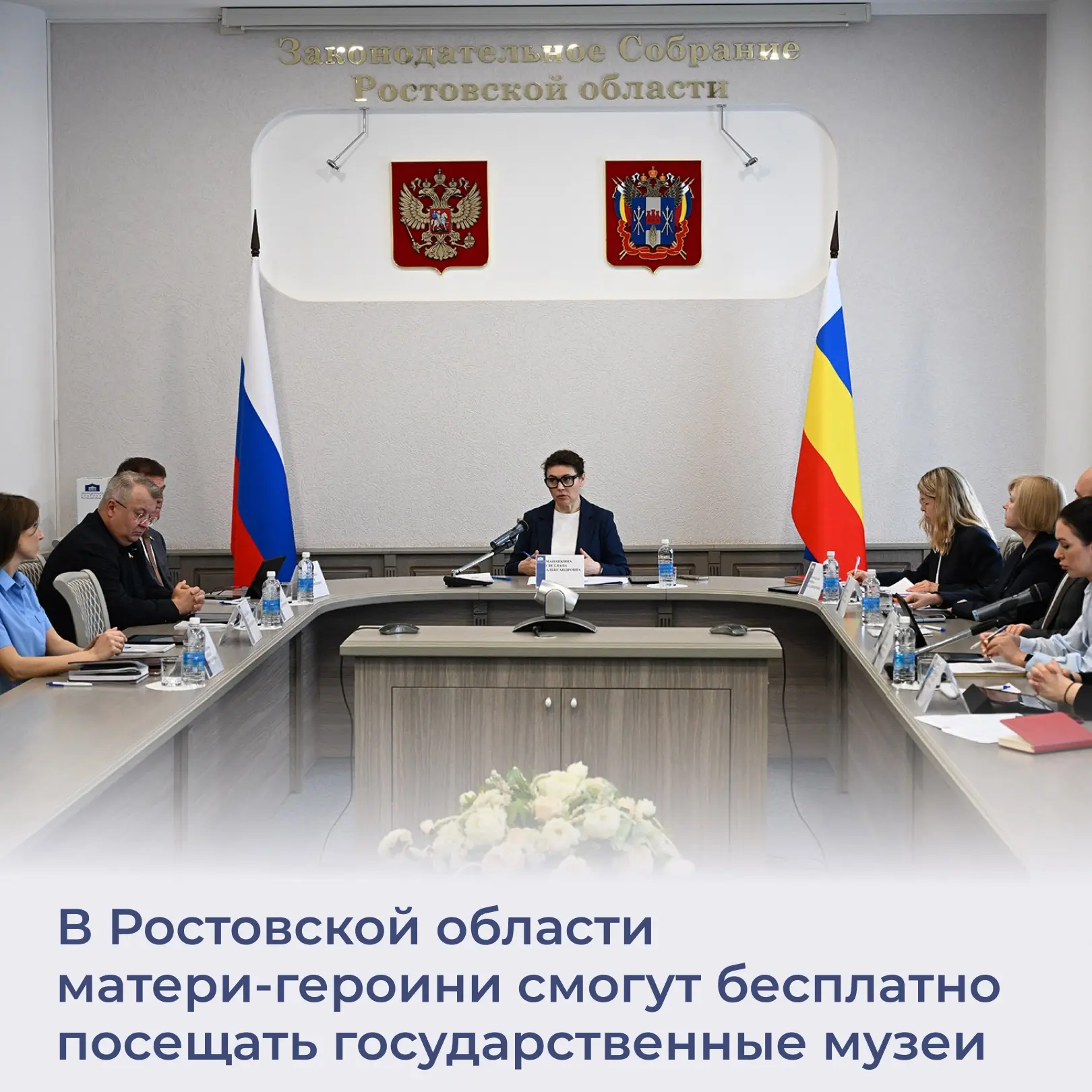 На комитете по образованию депутаты поддержали законопроект о бесплатном посещении государственных о