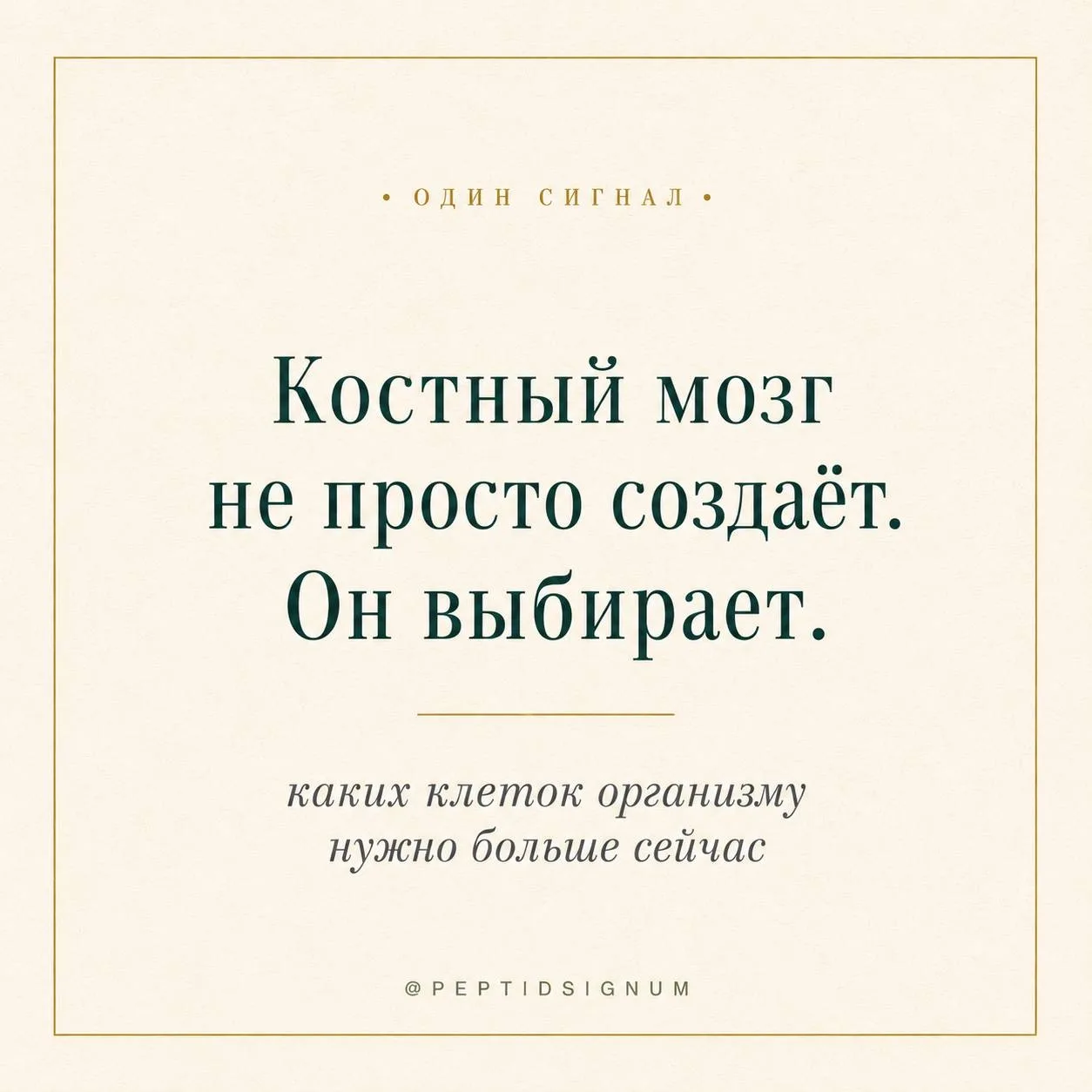 🧬 Один сигнал

Каждую секунду в костном мозге принимаются тысячи решений

Не все клетки-предшествен
