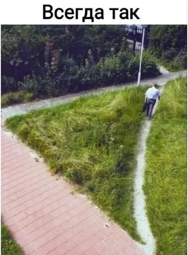 Подписываетесь на Саваничи