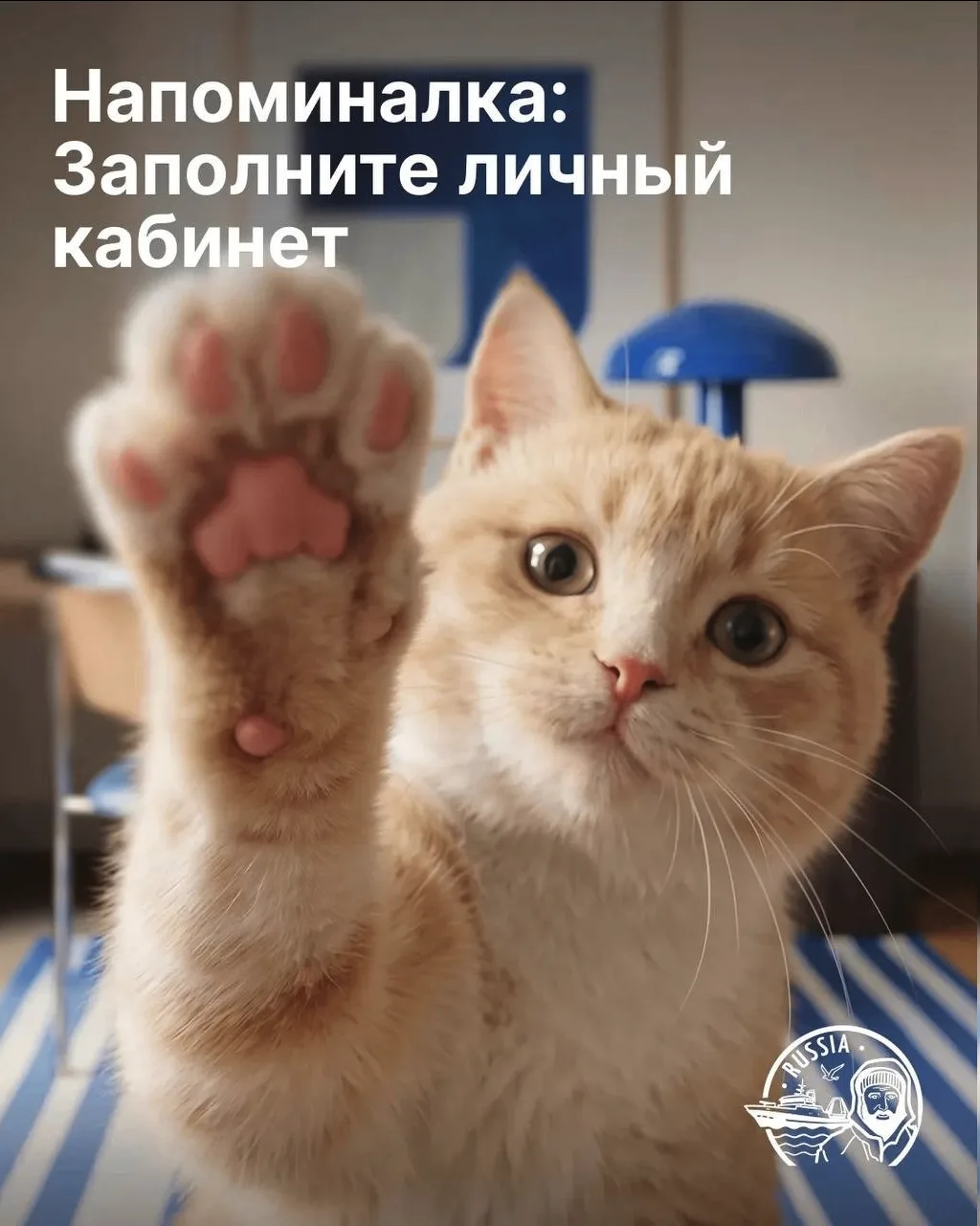 Вслед за открытием регистрации посетителей спешим сообщить, что личные кабинеты экспонентов также го
